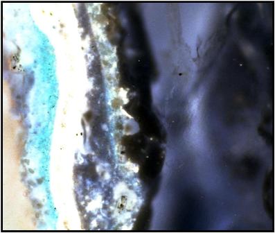 Microscopic analysis of historic paint layers and colors was conducted by Frank Welsh of Welsh Color and Conservation in Bryn Mawr, Pennsylvania